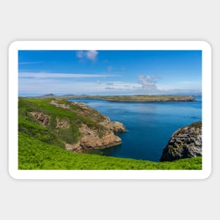 A  view from RSPB Ramsey Island, Pembrokeshire Sticker